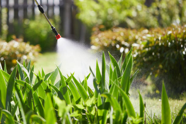 24/7 Emergency Mosquito Control experts in Montrose, CO