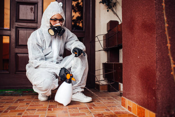 Reliable Mosquito Control contractor in Montrose, CO by Show Me Pest Control